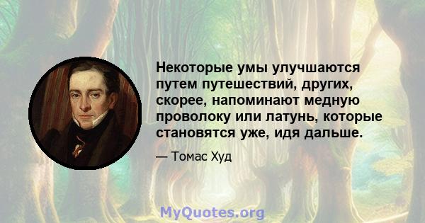 Некоторые умы улучшаются путем путешествий, других, скорее, напоминают медную проволоку или латунь, которые становятся уже, идя дальше.