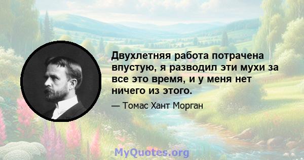 Двухлетняя работа потрачена впустую, я разводил эти мухи за все это время, и у меня нет ничего из этого.