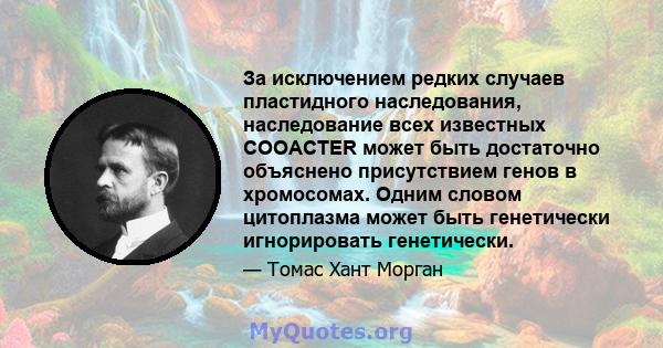 За исключением редких случаев пластидного наследования, наследование всех известных COOACTER может быть достаточно объяснено присутствием генов в хромосомах. Одним словом цитоплазма может быть генетически игнорировать