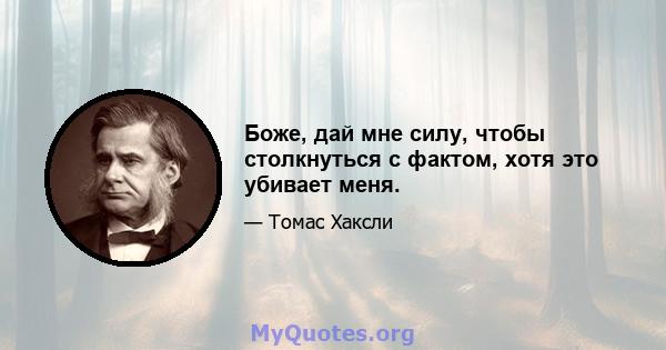 Боже, дай мне силу, чтобы столкнуться с фактом, хотя это убивает меня.