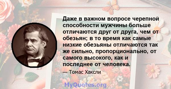 Даже в важном вопросе черепной способности мужчины больше отличаются друг от друга, чем от обезьян; в то время как самые низкие обезьяны отличаются так же сильно, пропорционально, от самого высокого, как и последнее от