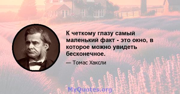 К четкому глазу самый маленький факт - это окно, в которое можно увидеть бесконечное.