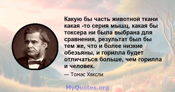 Какую бы часть животной ткани какая -то серия мышц, какая бы токсера ни была выбрана для сравнения, результат был бы тем же, что и более низкие обезьяны, и горилла будет отличаться больше, чем горилла и человек.