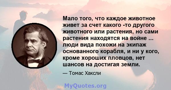 Мало того, что каждое животное живет за счет какого -то другого животного или растения, но сами растения находятся на войне ... люди вида похожи на экипаж основанного корабля, и ни у кого, кроме хороших пловцов, нет