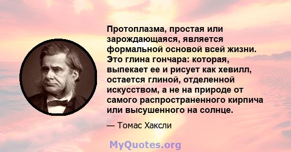 Протоплазма, простая или зарождающаяся, является формальной основой всей жизни. Это глина гончара: которая, выпекает ее и рисует как хевилл, остается глиной, отделенной искусством, а не на природе от самого