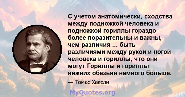 С учетом анатомически, сходства между подножкой человека и подножкой гориллы гораздо более поразительны и важны, чем различия ... быть различиями между рукой и ногой человека и гориллы, что они могут Гориллы и гориллы