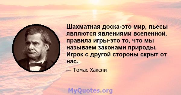 Шахматная доска-это мир, пьесы являются явлениями вселенной, правила игры-это то, что мы называем законами природы. Игрок с другой стороны скрыт от нас.