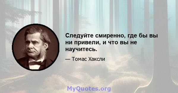 Следуйте смиренно, где бы вы ни привели, и что вы не научитесь.