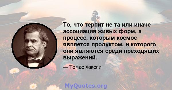 То, что терпит не та или иначе ассоциация живых форм, а процесс, которым космос является продуктом, и которого они являются среди преходящих выражений.