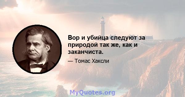 Вор и убийца следуют за природой так же, как и заканчиста.