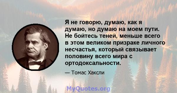 Я не говорю, думаю, как я думаю, но думаю на моем пути. Не бойтесь теней, меньше всего в этом великом призраке личного несчастья, который связывает половину всего мира с ортодоксальности.