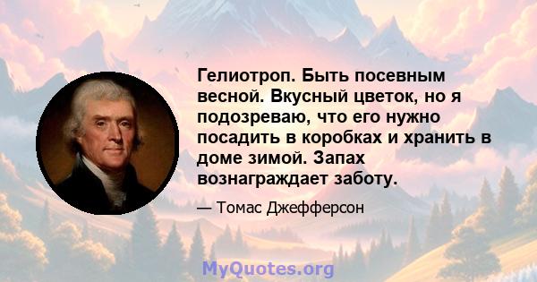 Гелиотроп. Быть посевным весной. Вкусный цветок, но я подозреваю, что его нужно посадить в коробках и хранить в доме зимой. Запах вознаграждает заботу.