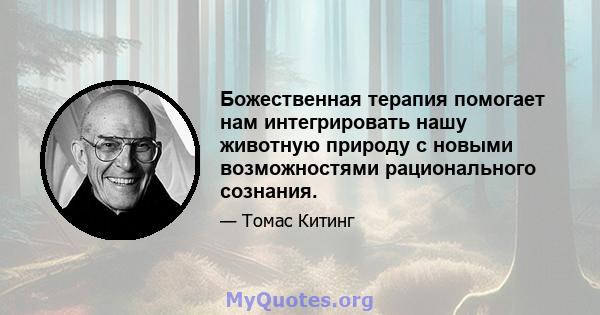 Божественная терапия помогает нам интегрировать нашу животную природу с новыми возможностями рационального сознания.