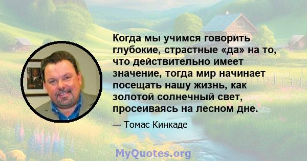 Когда мы учимся говорить глубокие, страстные «да» на то, что действительно имеет значение, тогда мир начинает посещать нашу жизнь, как золотой солнечный свет, просеиваясь на лесном дне.