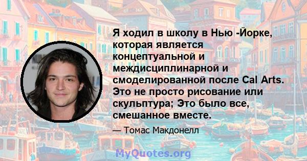 Я ходил в школу в Нью -Йорке, которая является концептуальной и междисциплинарной и смоделированной после Cal Arts. Это не просто рисование или скульптура; Это было все, смешанное вместе.