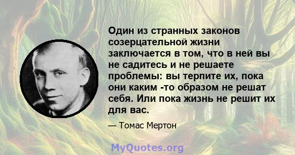 Один из странных законов созерцательной жизни заключается в том, что в ней вы не садитесь и не решаете проблемы: вы терпите их, пока они каким -то образом не решат себя. Или пока жизнь не решит их для вас.