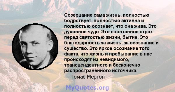 Созерцание сама жизнь, полностью бодрствует, полностью активна и полностью осознает, что она жива. Это духовное чудо. Это спонтанное страх перед святостью жизни, бытие. Это благодарность за жизнь, за осознание и