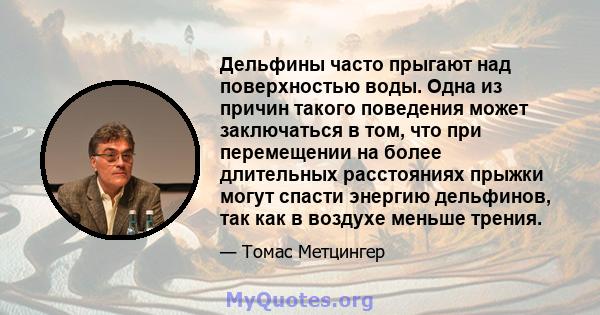 Дельфины часто прыгают над поверхностью воды. Одна из причин такого поведения может заключаться в том, что при перемещении на более длительных расстояниях прыжки могут спасти энергию дельфинов, так как в воздухе меньше