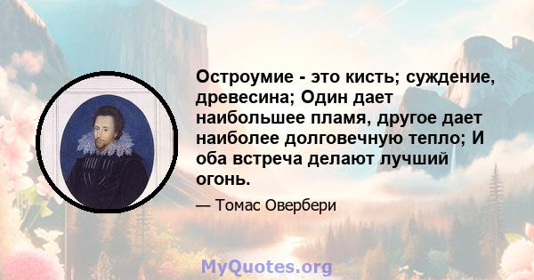 Остроумие - это кисть; суждение, древесина; Один дает наибольшее пламя, другое дает наиболее долговечную тепло; И оба встреча делают лучший огонь.