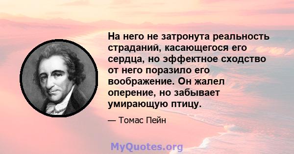 На него не затронута реальность страданий, касающегося его сердца, но эффектное сходство от него поразило его воображение. Он жалел оперение, но забывает умирающую птицу.