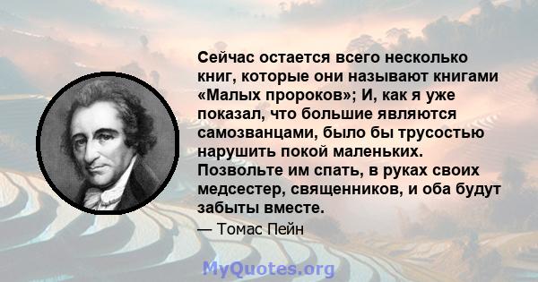 Сейчас остается всего несколько книг, которые они называют книгами «Малых пророков»; И, как я уже показал, что большие являются самозванцами, было бы трусостью нарушить покой маленьких. Позвольте им спать, в руках своих 