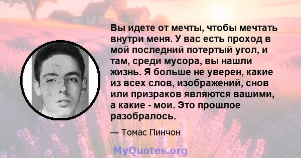 Вы идете от мечты, чтобы мечтать внутри меня. У вас есть проход в мой последний потертый угол, и там, среди мусора, вы нашли жизнь. Я больше не уверен, какие из всех слов, изображений, снов или призраков являются