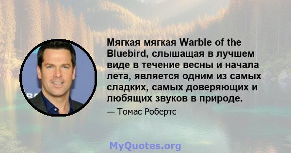 Мягкая мягкая Warble of the Bluebird, слышащая в лучшем виде в течение весны и начала лета, является одним из самых сладких, самых доверяющих и любящих звуков в природе.