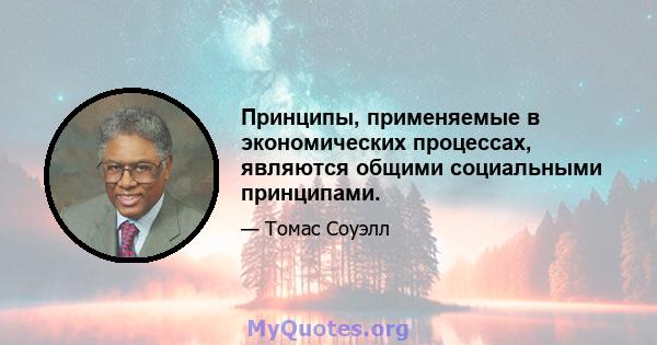 Принципы, применяемые в экономических процессах, являются общими социальными принципами.