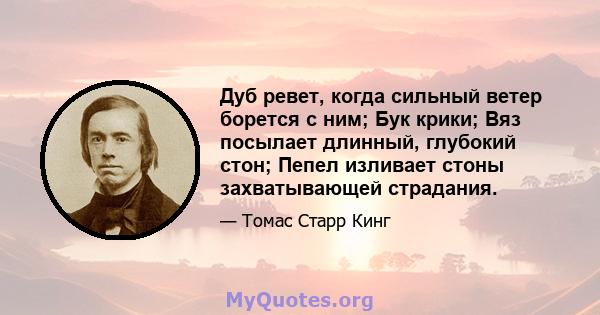 Дуб ревет, когда сильный ветер борется с ним; Бук крики; Вяз посылает длинный, глубокий стон; Пепел изливает стоны захватывающей страдания.