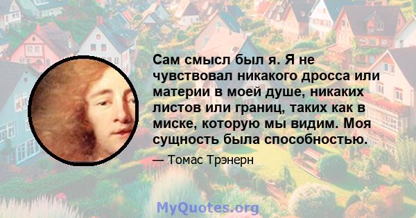 Сам смысл был я. Я не чувствовал никакого дросса или материи в моей душе, никаких листов или границ, таких как в миске, которую мы видим. Моя сущность была способностью.