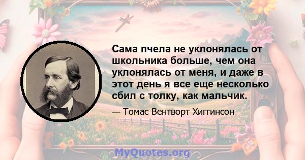 Сама пчела не уклонялась от школьника больше, чем она уклонялась от меня, и даже в этот день я все еще несколько сбил с толку, как мальчик.