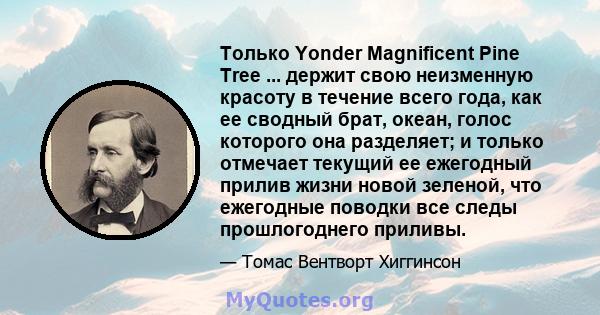 Только Yonder Magnificent Pine Tree ... держит свою неизменную красоту в течение всего года, как ее сводный брат, океан, голос которого она разделяет; и только отмечает текущий ее ежегодный прилив жизни новой зеленой,