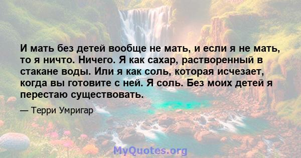 И мать без детей вообще не мать, и если я не мать, то я ничто. Ничего. Я как сахар, растворенный в стакане воды. Или я как соль, которая исчезает, когда вы готовите с ней. Я соль. Без моих детей я перестаю существовать.