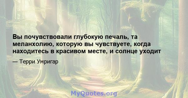 Вы почувствовали глубокую печаль, та меланхолию, которую вы чувствуете, когда находитесь в красивом месте, и солнце уходит