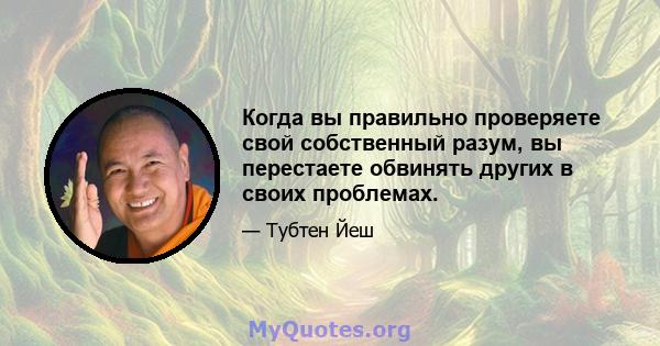 Когда вы правильно проверяете свой собственный разум, вы перестаете обвинять других в своих проблемах.