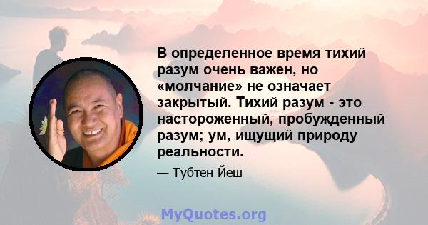 В определенное время тихий разум очень важен, но «молчание» не означает закрытый. Тихий разум - это настороженный, пробужденный разум; ум, ищущий природу реальности.