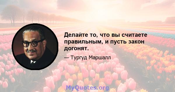 Делайте то, что вы считаете правильным, и пусть закон догонят.