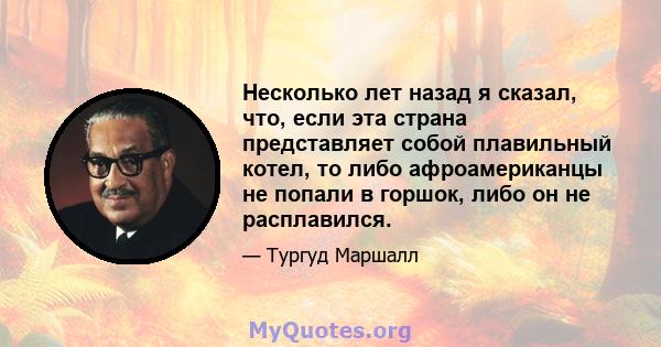 Несколько лет назад я сказал, что, если эта страна представляет собой плавильный котел, то либо афроамериканцы не попали в горшок, либо он не расплавился.