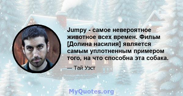 Jumpy - самое невероятное животное всех времен. Фильм [Долина насилия] является самым уплотненным примером того, на что способна эта собака.