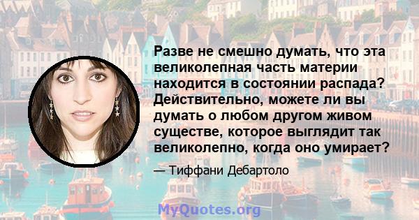 Разве не смешно думать, что эта великолепная часть материи находится в состоянии распада? Действительно, можете ли вы думать о любом другом живом существе, которое выглядит так великолепно, когда оно умирает?