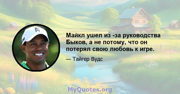 Майкл ушел из -за руководства Быков, а не потому, что он потерял свою любовь к игре.