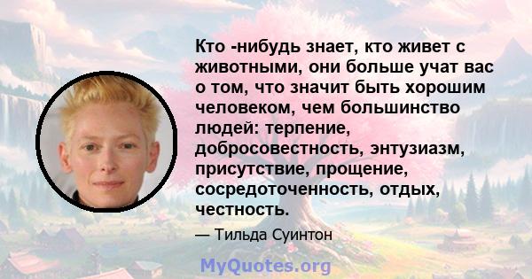 Кто -нибудь знает, кто живет с животными, они больше учат вас о том, что значит быть хорошим человеком, чем большинство людей: терпение, добросовестность, энтузиазм, присутствие, прощение, сосредоточенность, отдых,