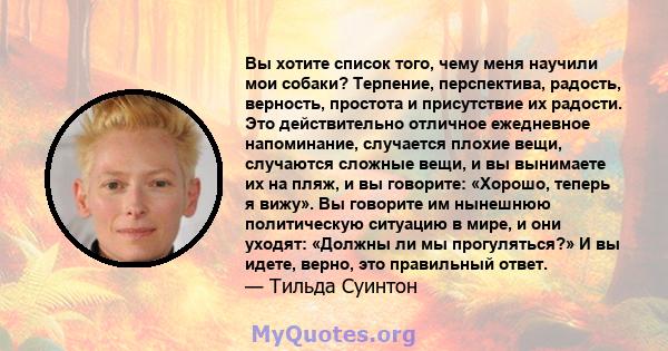 Вы хотите список того, чему меня научили мои собаки? Терпение, перспектива, радость, верность, простота и присутствие их радости. Это действительно отличное ежедневное напоминание, случается плохие вещи, случаются