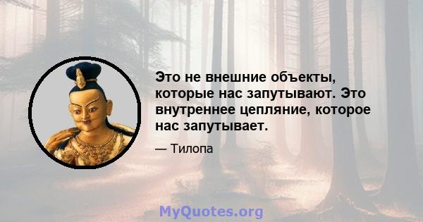 Это не внешние объекты, которые нас запутывают. Это внутреннее цепляние, которое нас запутывает.