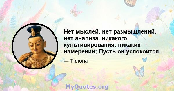 Нет мыслей, нет размышлений, нет анализа, никакого культивирования, никаких намерений; Пусть он успокоится.