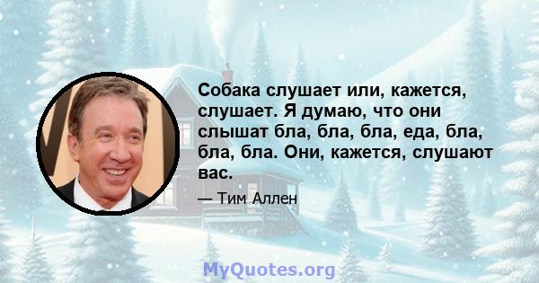 Собака слушает или, кажется, слушает. Я думаю, что они слышат бла, бла, бла, еда, бла, бла, бла. Они, кажется, слушают вас.