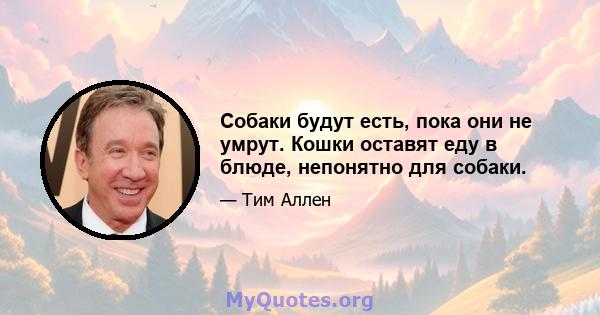 Собаки будут есть, пока они не умрут. Кошки оставят еду в блюде, непонятно для собаки.