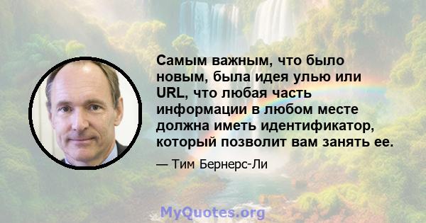 Самым важным, что было новым, была идея улью или URL, что любая часть информации в любом месте должна иметь идентификатор, который позволит вам занять ее.