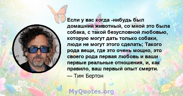 Если у вас когда -нибудь был домашний животный, со мной это была собака, с такой безусловной любовью, которую могут дать только собаки, люди не могут этого сделать; Такого рода вещи, где это очень мощно, это своего рода 