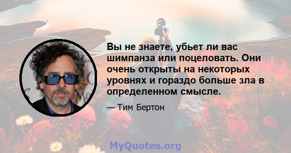 Вы не знаете, убьет ли вас шимпанза или поцеловать. Они очень открыты на некоторых уровнях и гораздо больше зла в определенном смысле.